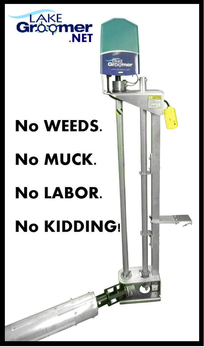 How To Get Rid Of Weeds In Lake Water at Alex er blog