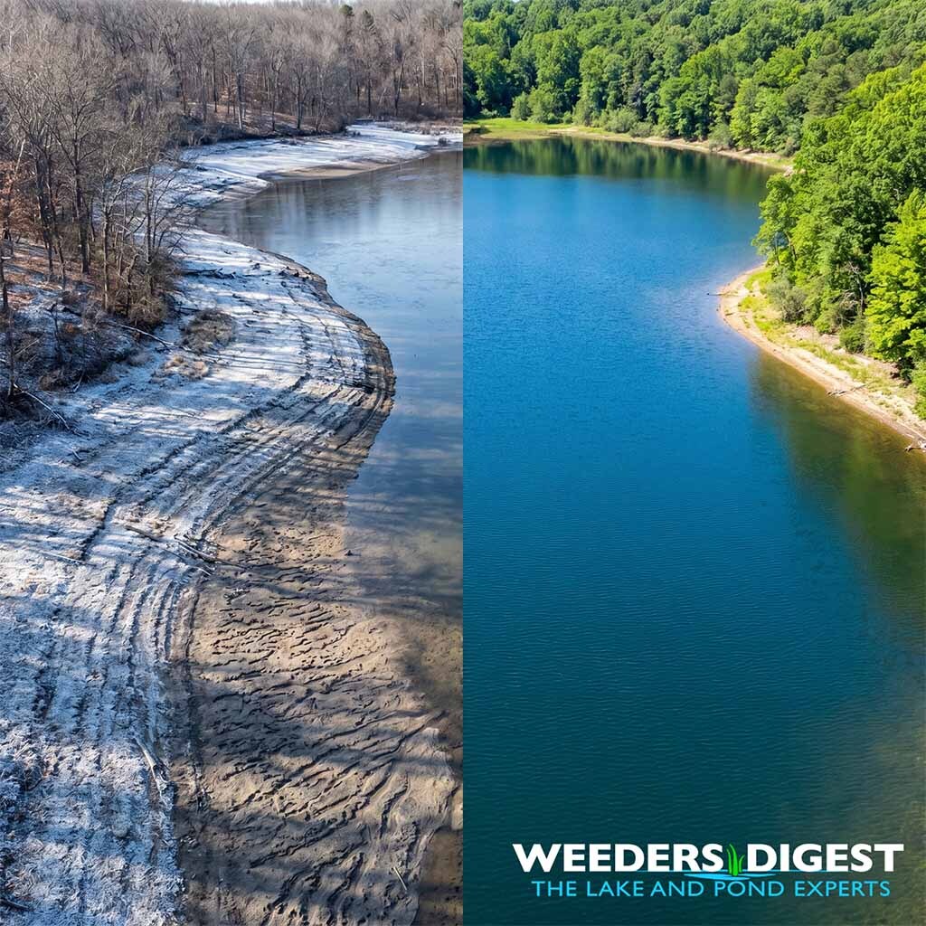 <p>My Seasonal Playbook for Reclaiming Your Lake: The Mechanics of Drawdowns and Dredging</p>
<p>As a lake manager, one of the most common questions I get from property owners is how to take back their water from aggressive aquatic weeds without relying entirely on repeated herbicide applications. My favorite approach...</p>
<p><a href="/lake-and-pond-science/my-seasonal-playbook-for-reclaiming-your-lake-the-mechanics-of-drawdowns-and-dredging/">Read more</a></p>